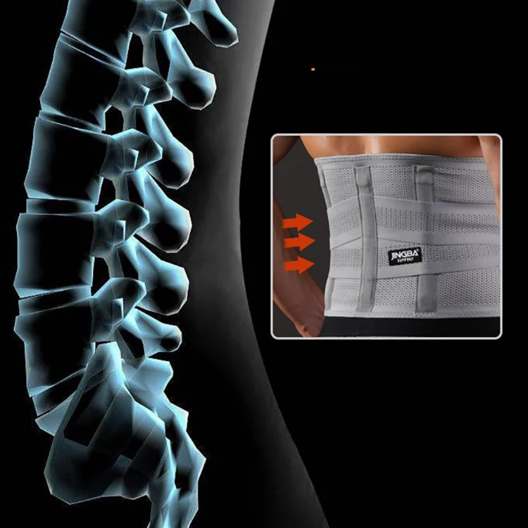 Fascia Lombare